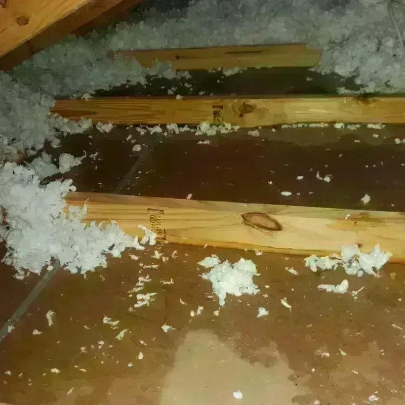 Attic Water Damage in West Livingston, TX