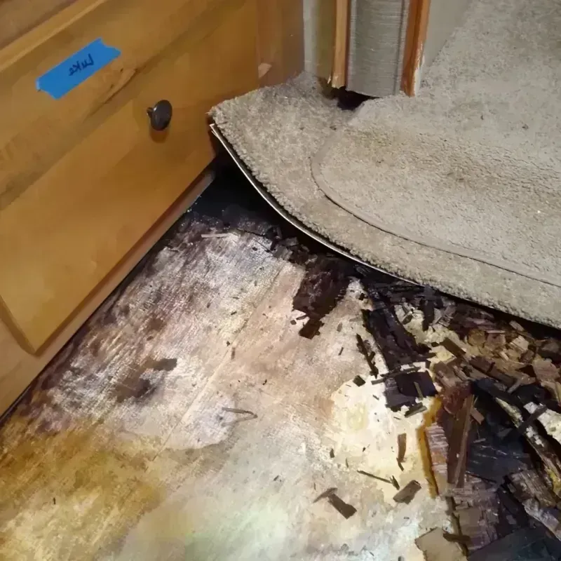 Best Wood Floor Water Damage Service in West Livingston, TX